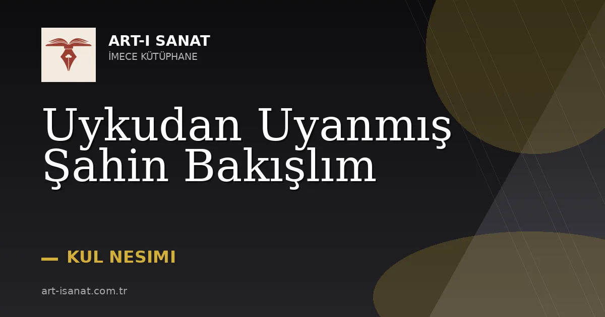 Uykudan Uyanmış Şahin Bakışlım